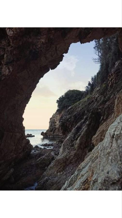 Αγρόκτημα Χελωναριά - Agroktima Chelonaria Pansiyon Chranoi Dış mekan fotoğraf