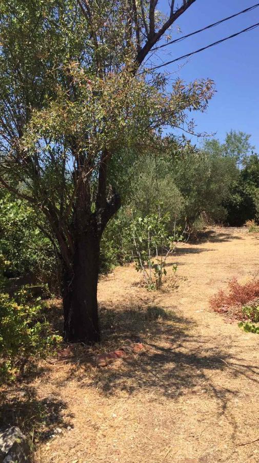 Αγρόκτημα Χελωναριά - Agroktima Chelonaria Pansiyon Chranoi Dış mekan fotoğraf